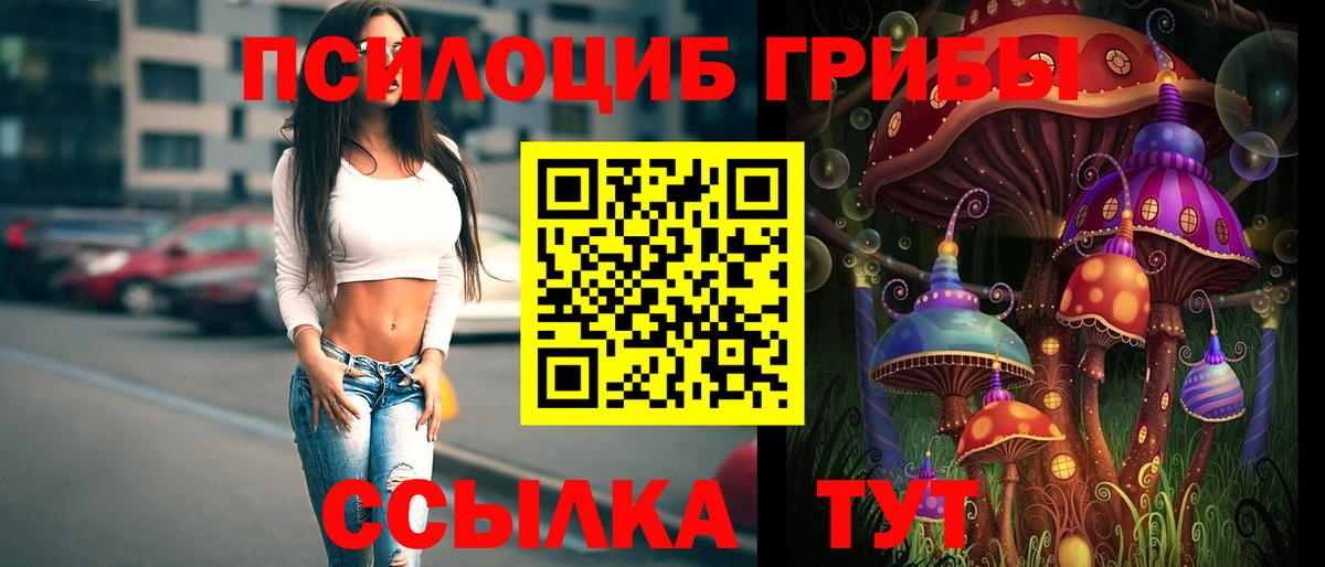 Псилоцибиновые грибы прущие грибы  Вход с VPN  Псилоцибиновые грибы GOLDEN TEACHER  Соль-Илецк 